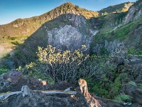 DSC3915  A few hungry macaques near the caldera of the Batur volcano.